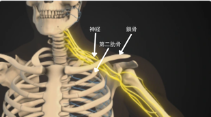 腕のシビレ 整体