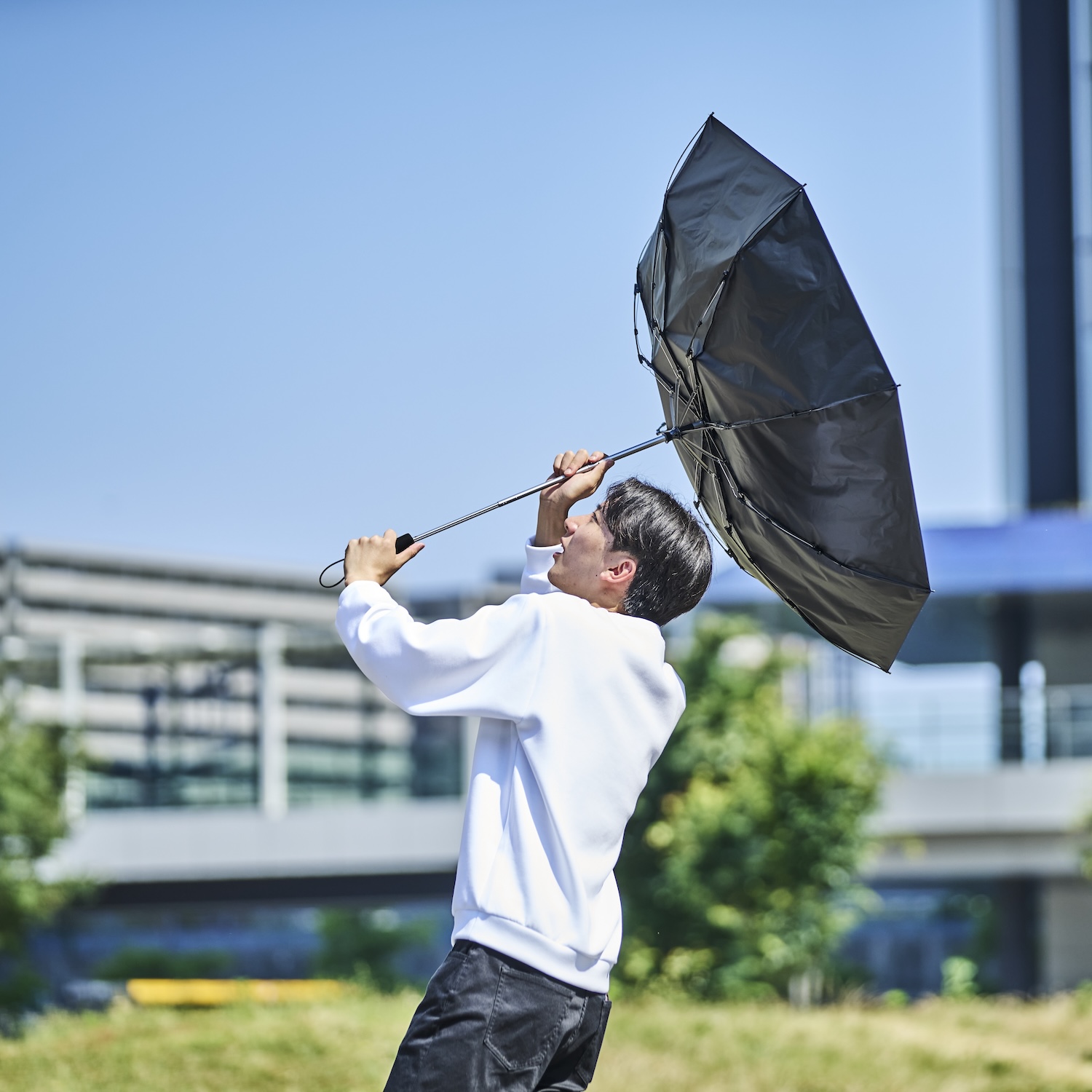 梅雨・台風シーズンに備える、もう壊さない！耐風傘の構造と設計の秘密