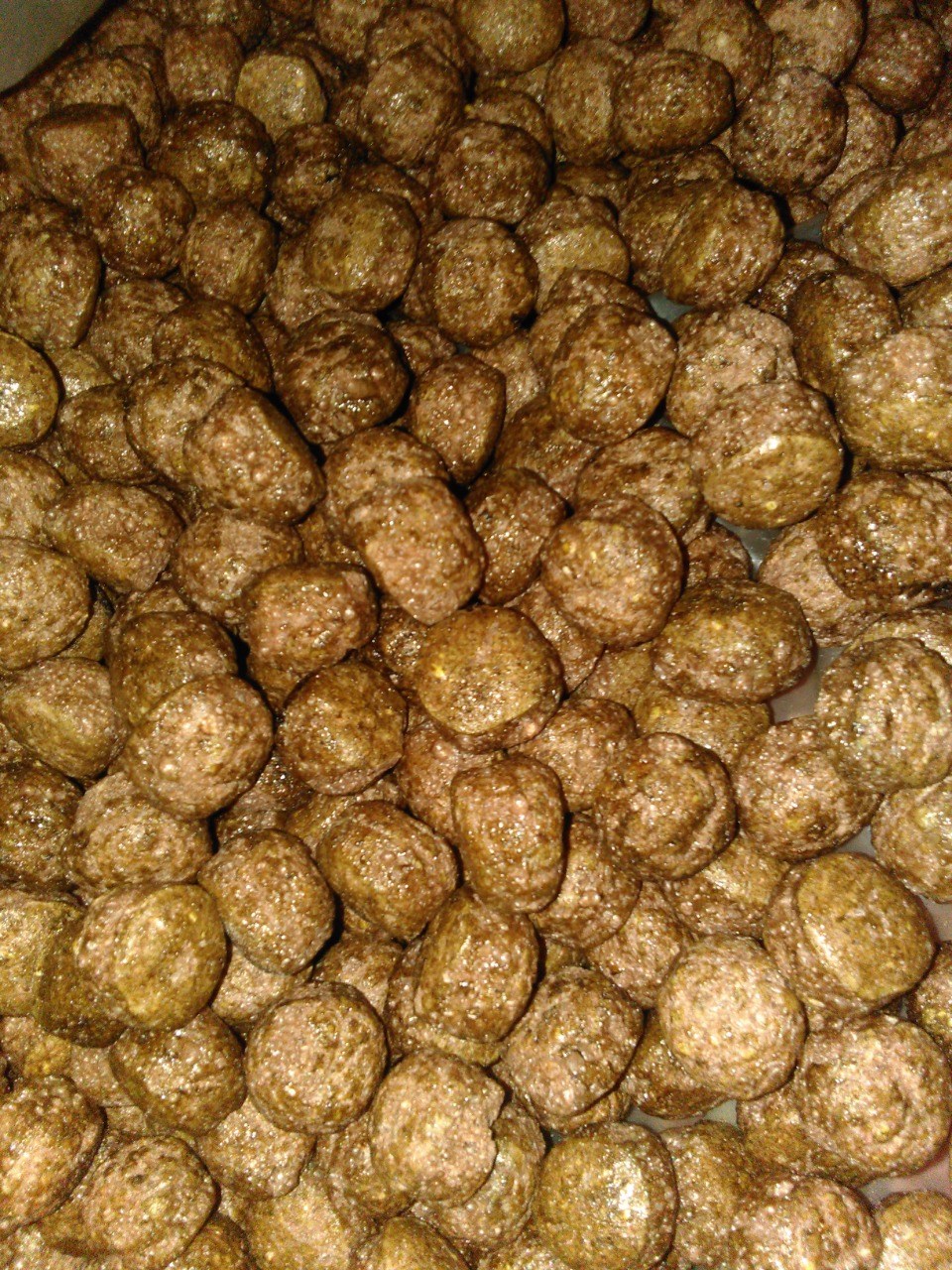 Maca Negra