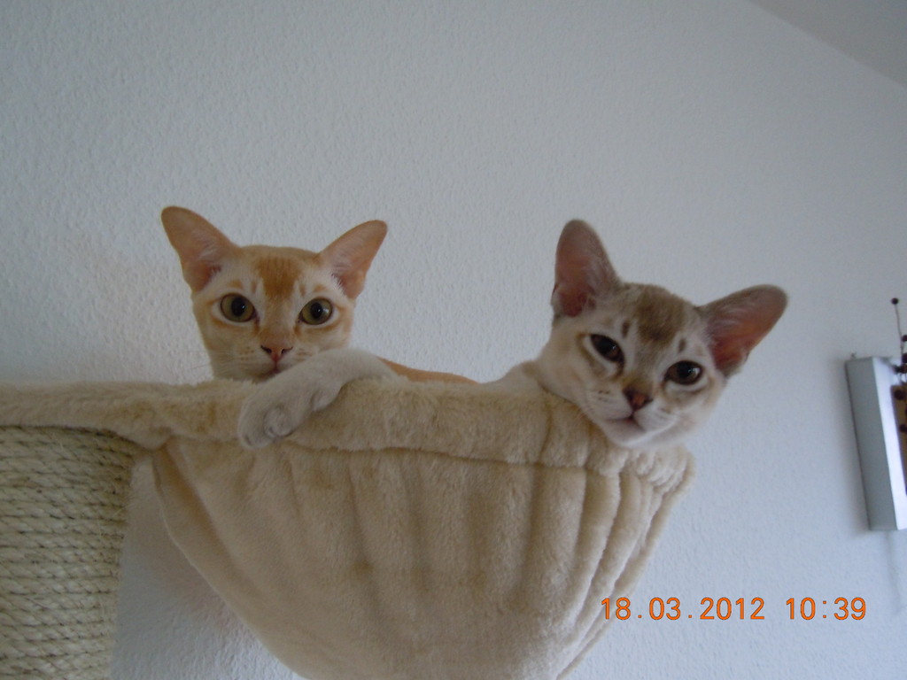 Amelie (left) and Clyde 