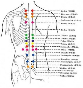 Points SHU dorsaux