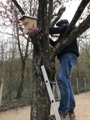 Nichoirs et hôtels à insectes pour l'école du village