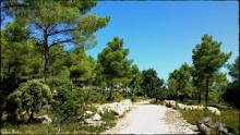 If you have a good English level, and wish to practise speaking while walking in the country, try our friendly walks, on Saturday mornings in a group of up to 4 people, or for individual lessons on request. € 10 for group walks, € 30 for individual walks
