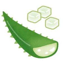 新クーポンのご紹介！