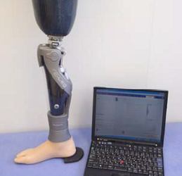 義足 - 有限会社P.O.サポート | 義肢装具製作