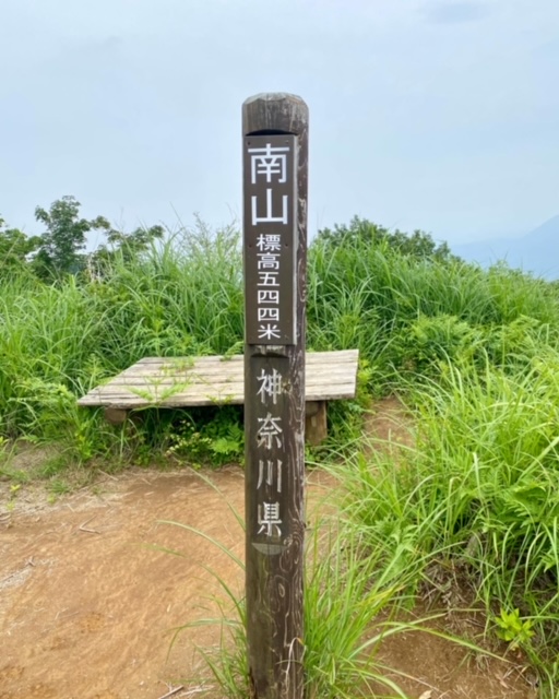 宮ヶ瀬ダムの山