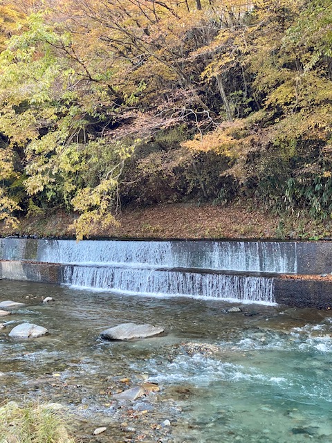 小春日和の観光農園