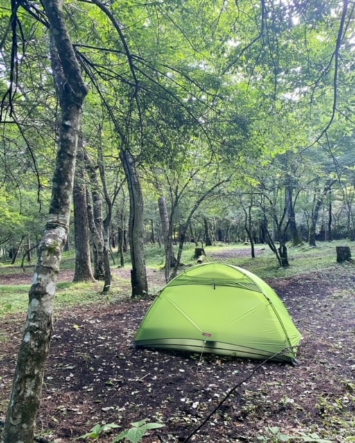 電車とバスの山中湖