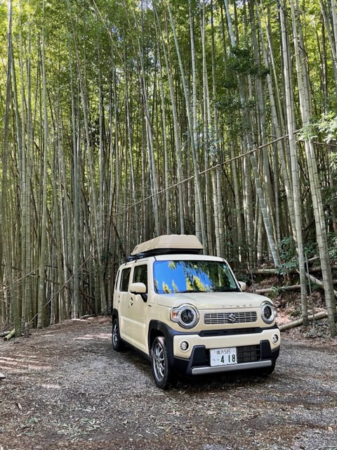 おおたきの竹林