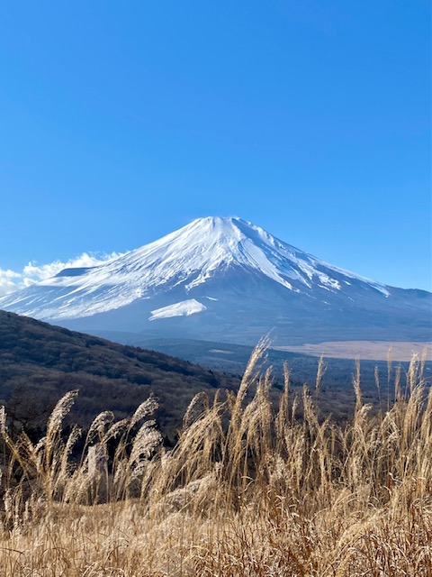 三国山ハイキングコース