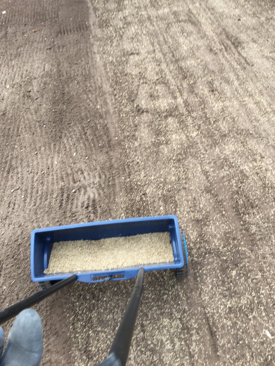 Außenanlagen - Traum vom Eigenheim - Bautagebuch