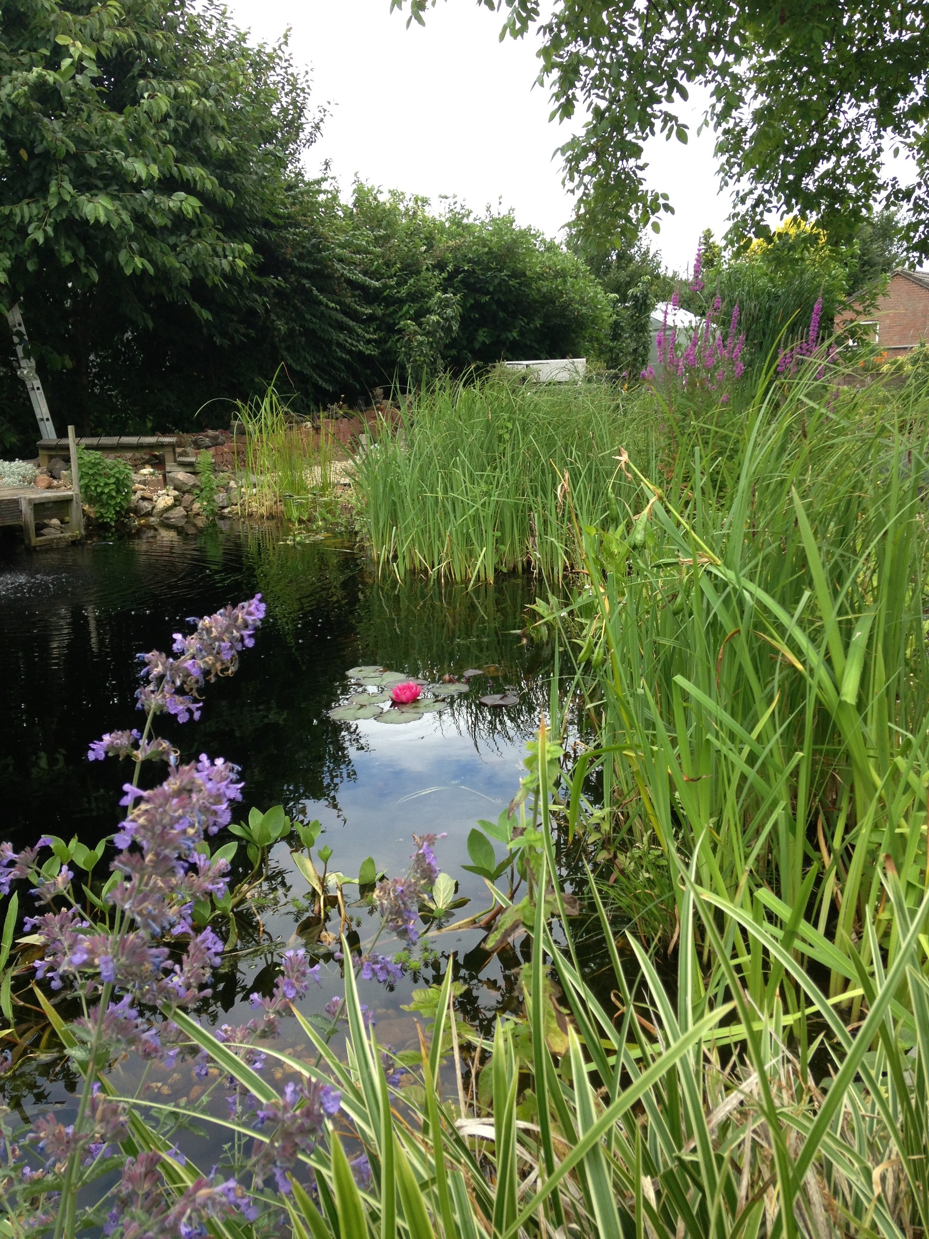 Impressum Garten JansenLook