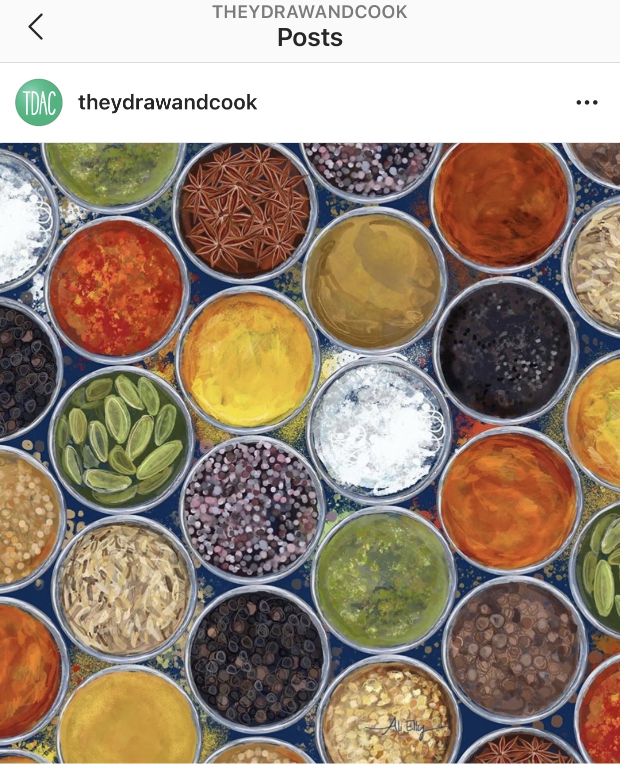 They Draw & Cook aliellydesign