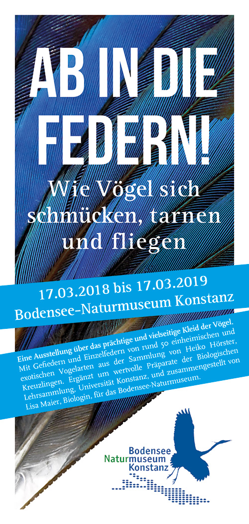 AB IN DIE FEDERN — Ausstellung im Bodensee-Naturmuseum Konstanz ab dem 17. März 2018