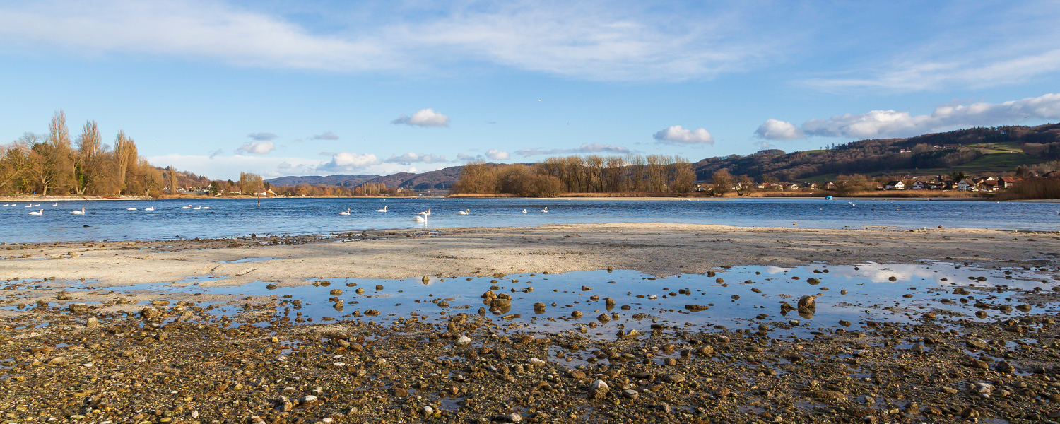 S. Trösch - Nilibucht