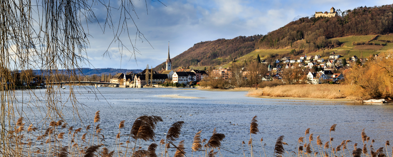S. Trösch - Stein am Rhein, zwischen Insel Werd und Rheinbrücke
