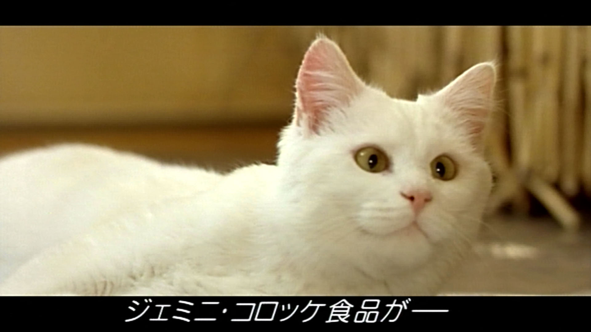 Fifth Element Site de retrovisual