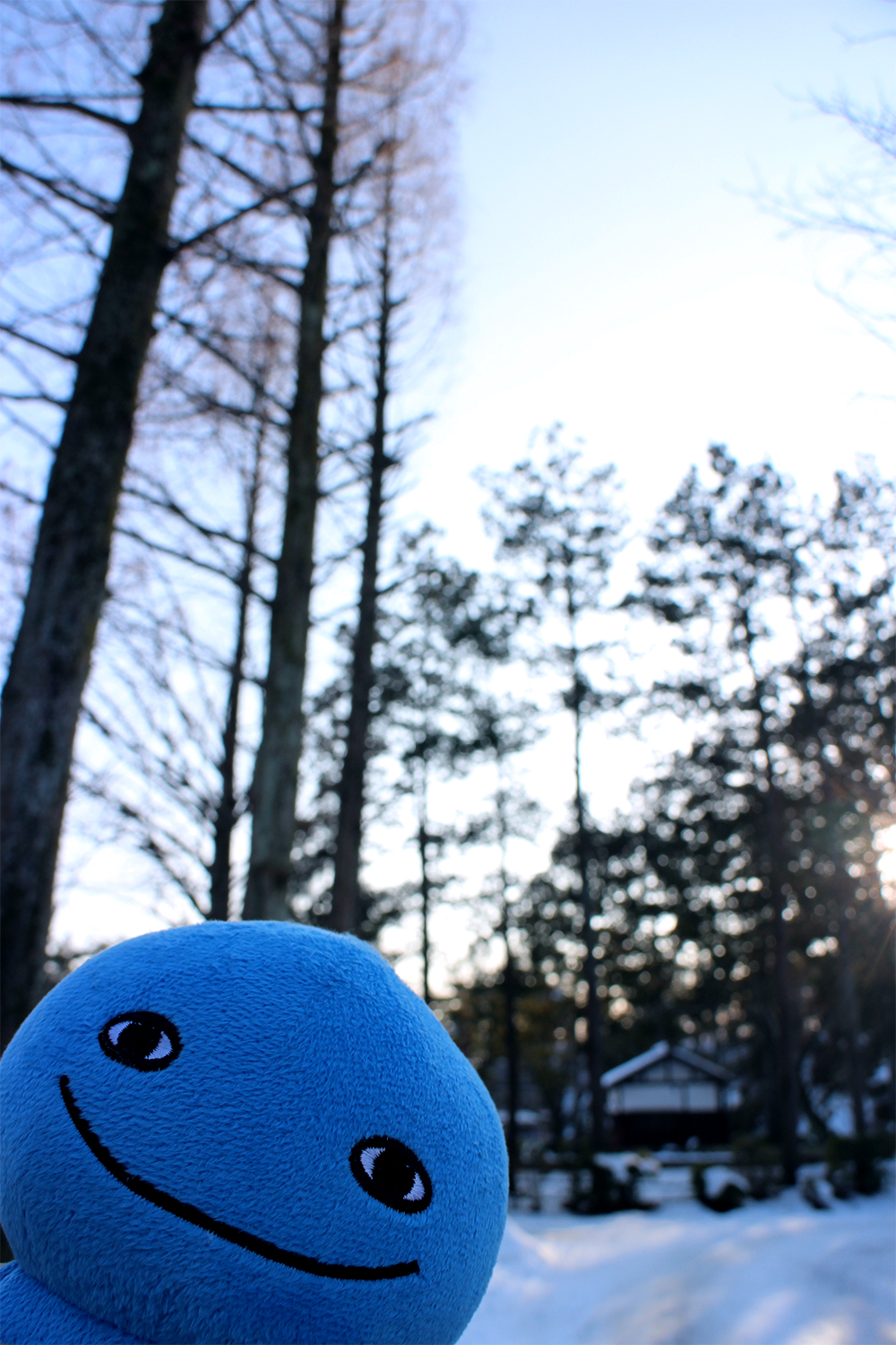 #15 冬の千秋公園とミズモ
