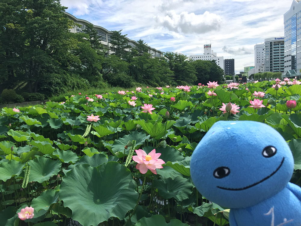 #20 夏の千秋公園とミズモ