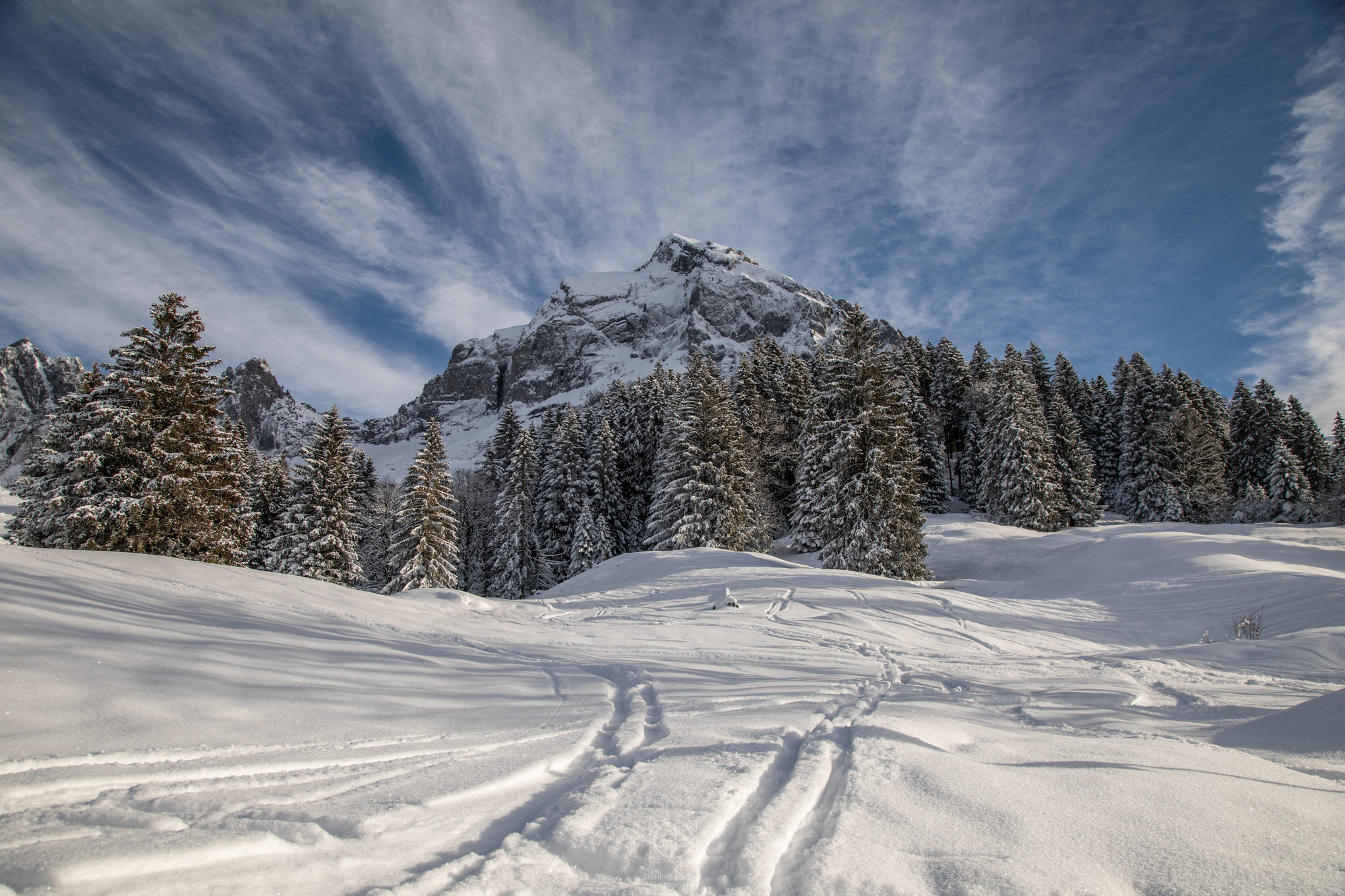 Fronalpstock,Winterlandschaft,Glarner Winter,Glarnerland,Glarus,Glarus-Nord,Glarus-Süd