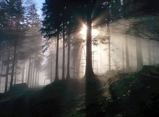 Bild: eigene Bildaufnahme im bayerischen Wald auf dem Berg Rusel Hausstein nicht weit von unserem Geschäftssitz in Deggendorf, Niederbayern, Deutschland