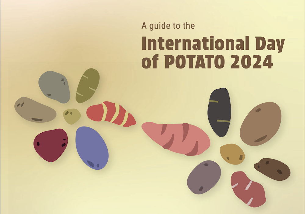 FAO - Announcing the theme of the first International Day of Potato