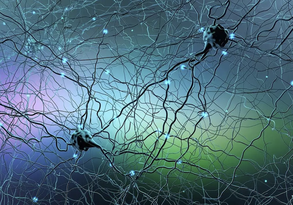 UNESCO Invitation: Global consultation on the Ethics of Neurotechnology