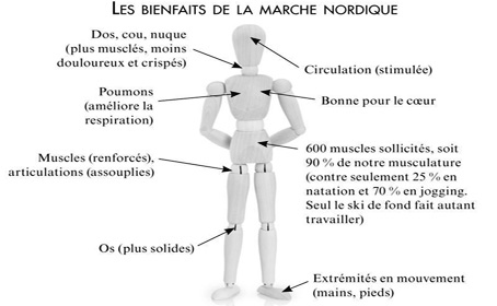 Présentation - Site de gremarcannes !