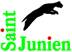 Mairie de Saint Junien