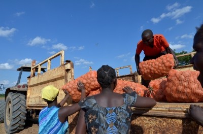 Hustler African
