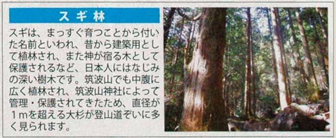 筑波山地域は自然の宝庫 - 筑波山とガマの油売り口上 筑波山地域は自然の宝庫 - 筑波山とガマの油売り口上