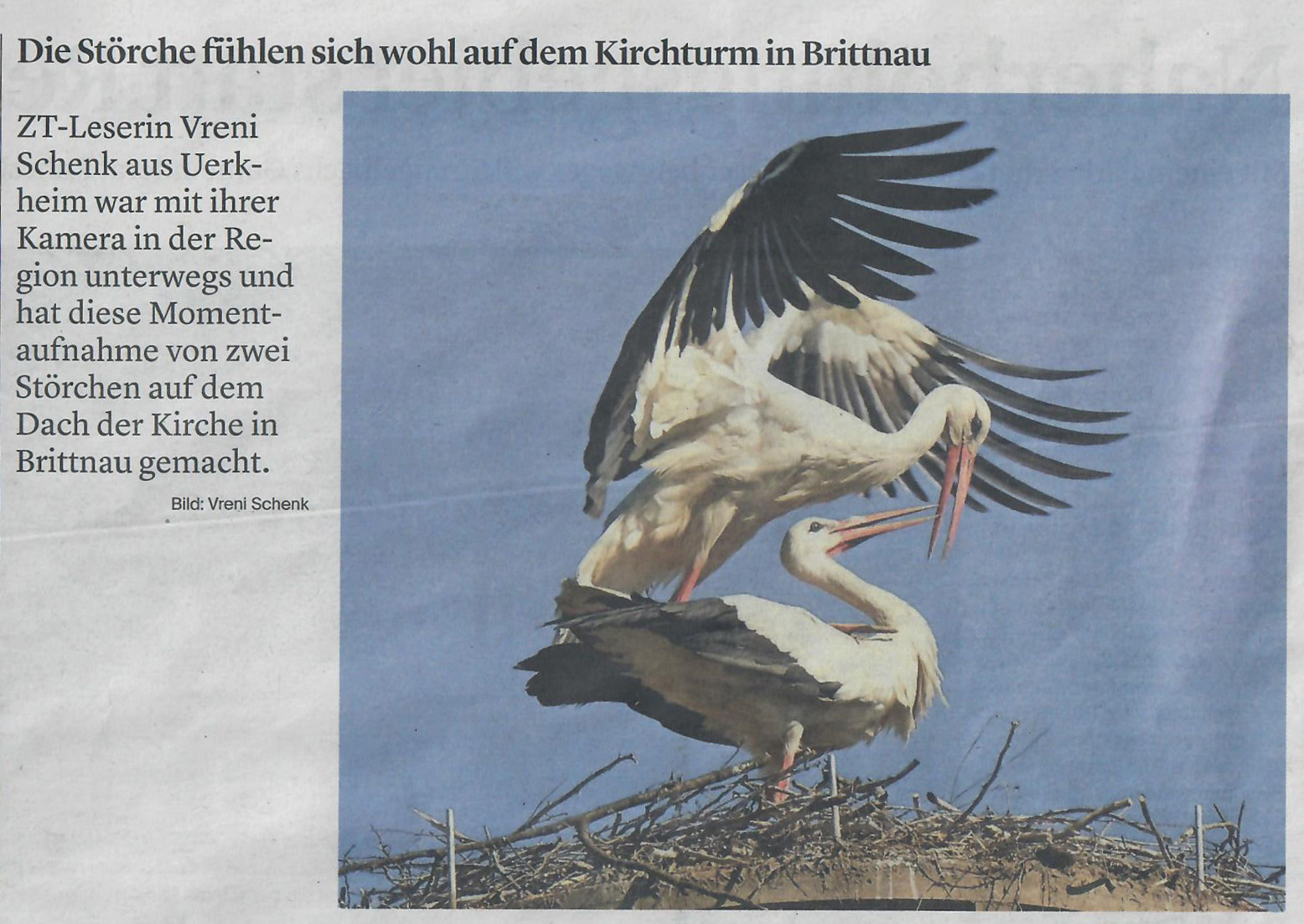 Zofinger Tagblatt 14.05.2020