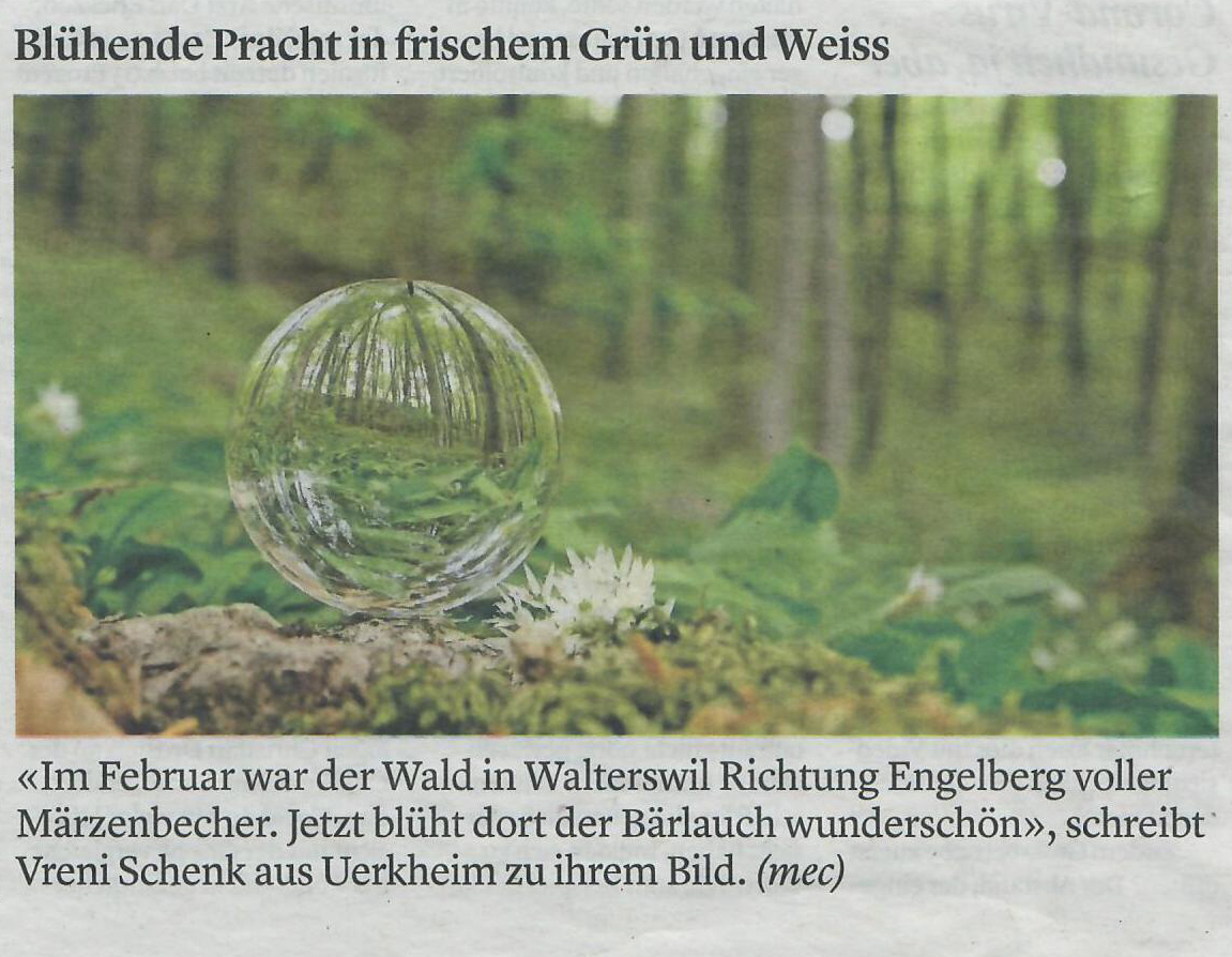 Zofinger Tagblatt 04.05.2020