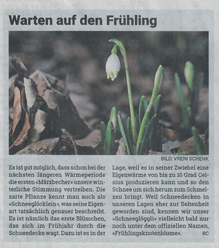 Landanzeiger 06.02.2025