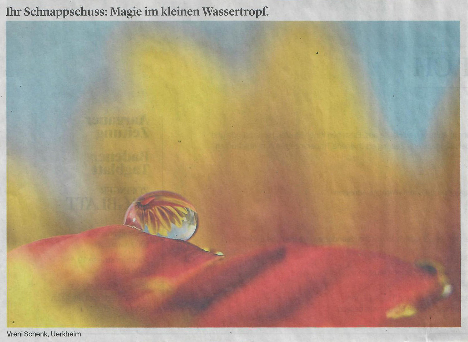 Zofinger Tagblatt 31.01.2026