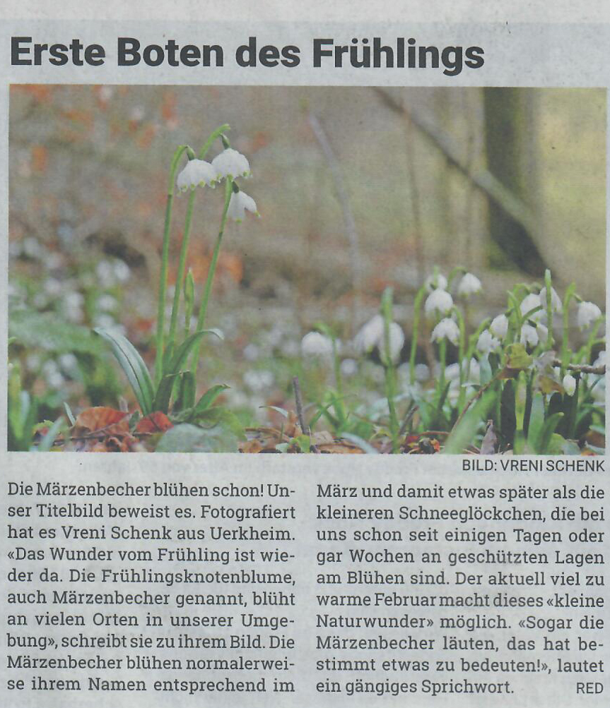 Landanzeiger 15.02.2024