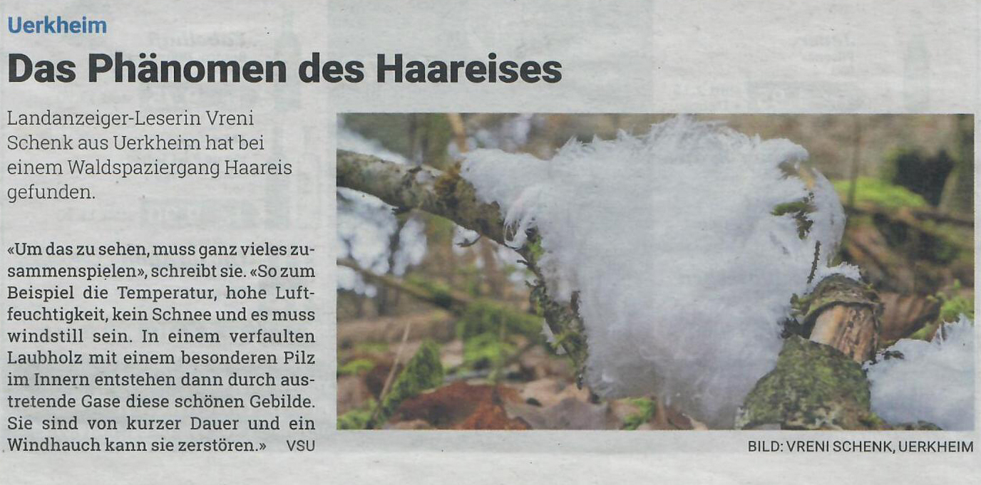 Zofinger Tagblatt 06.01.2021