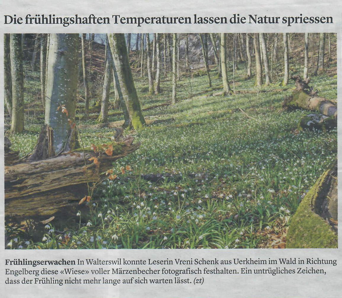 Zofinger Tagblatt 26.02.2020