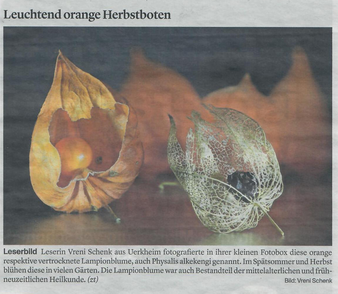 Zofinger Tagblatt 11.10.2021