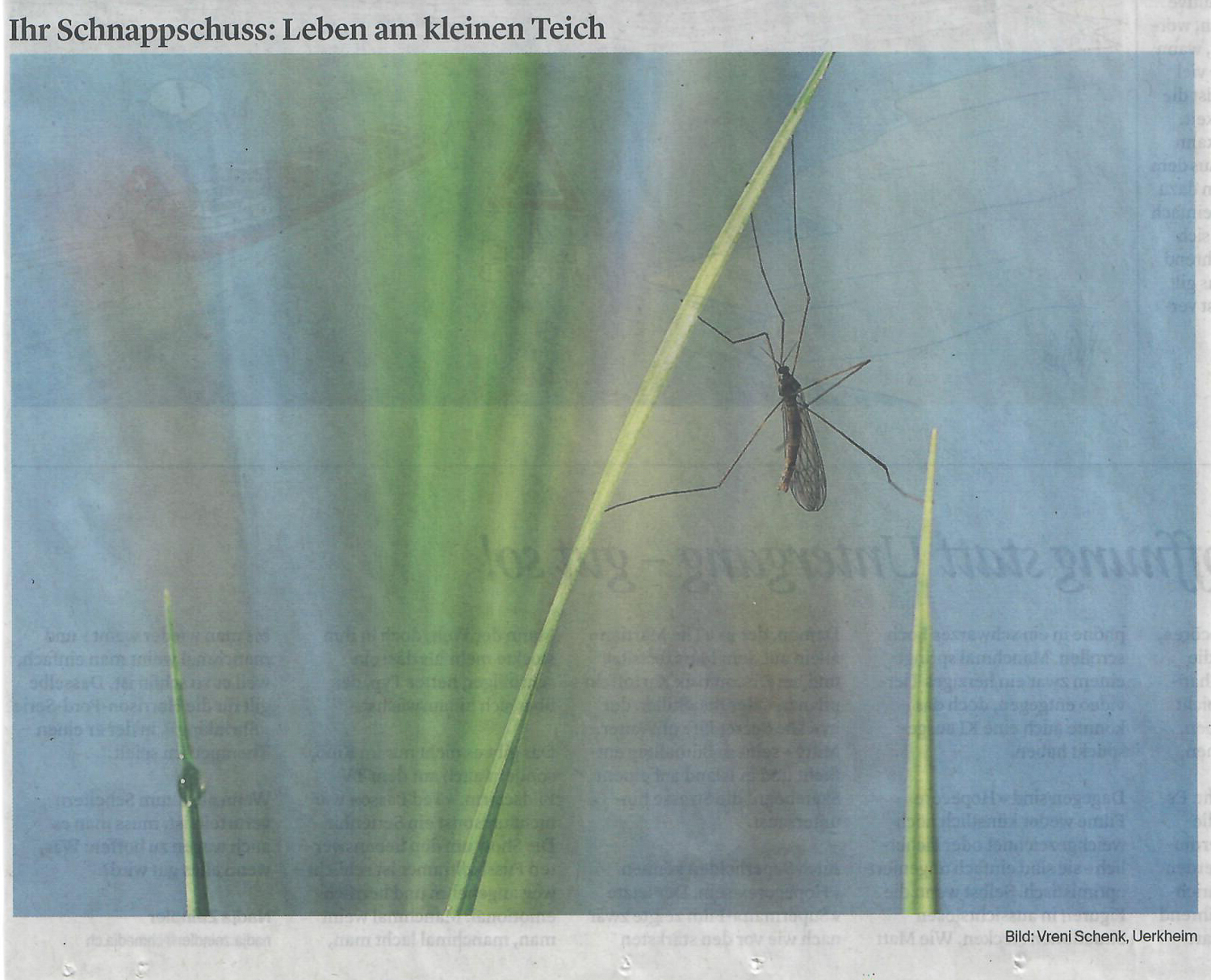 Zofinger Tagblatt 25.04.2026