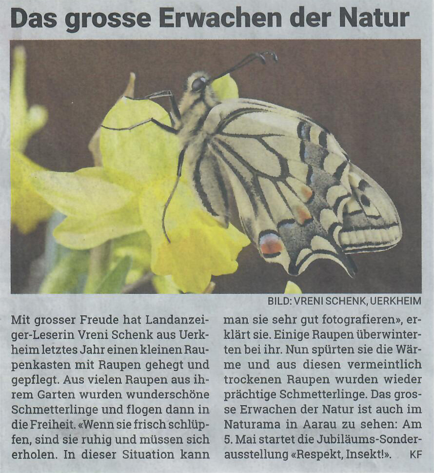 Landanzeiger 21.04.022