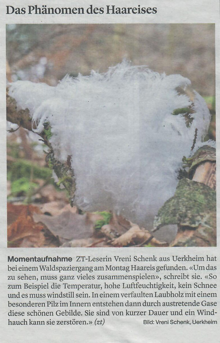 Landanzeiger 07.01.2021