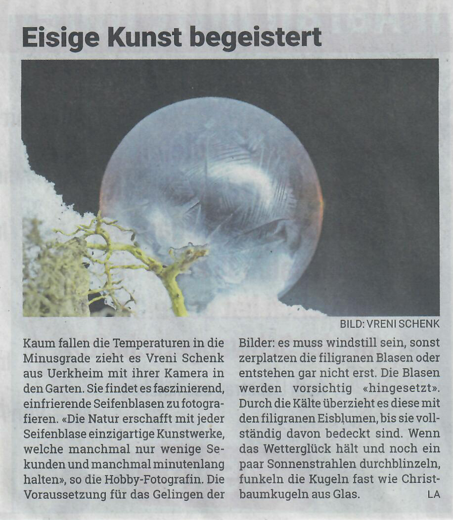 Landanzeiger 25.01.2023