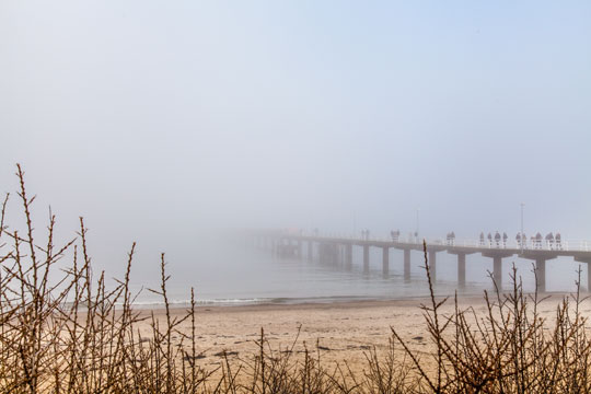 Nebel des Grauens