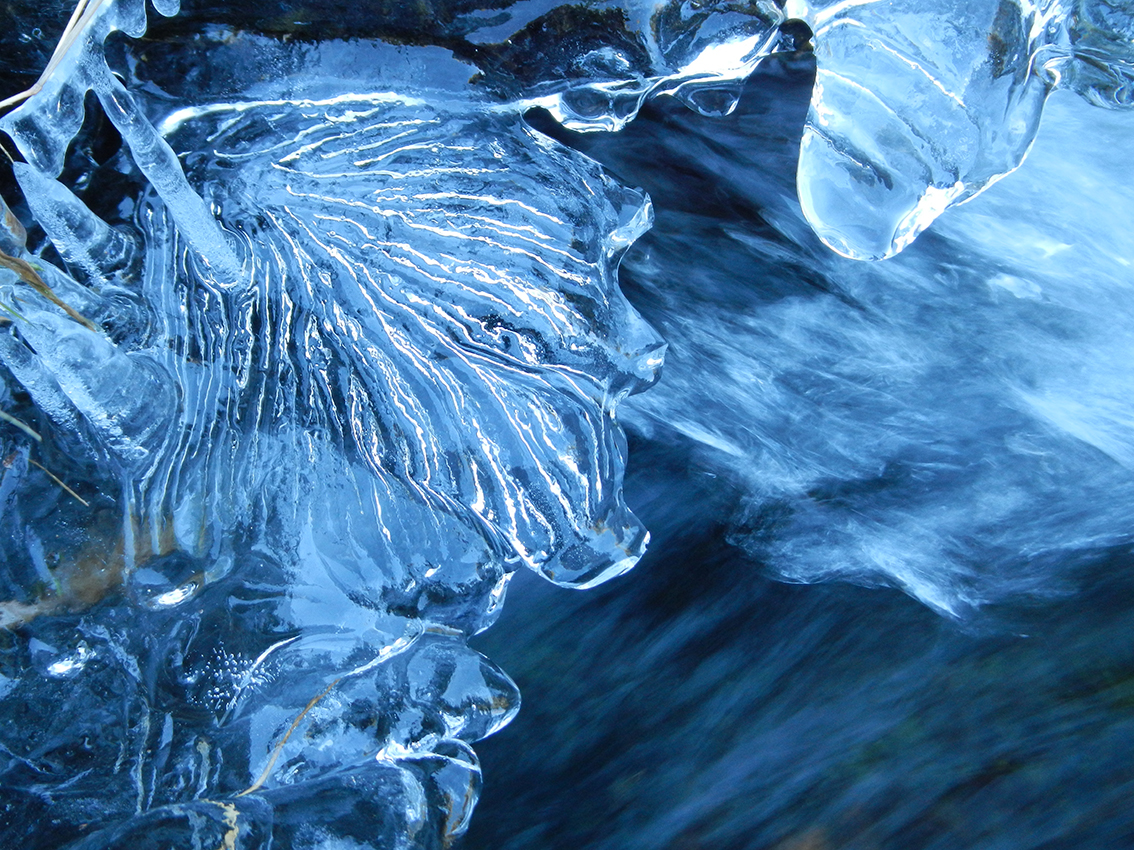 Flor de hielo (Puerto de la Morcuera, Madrid)