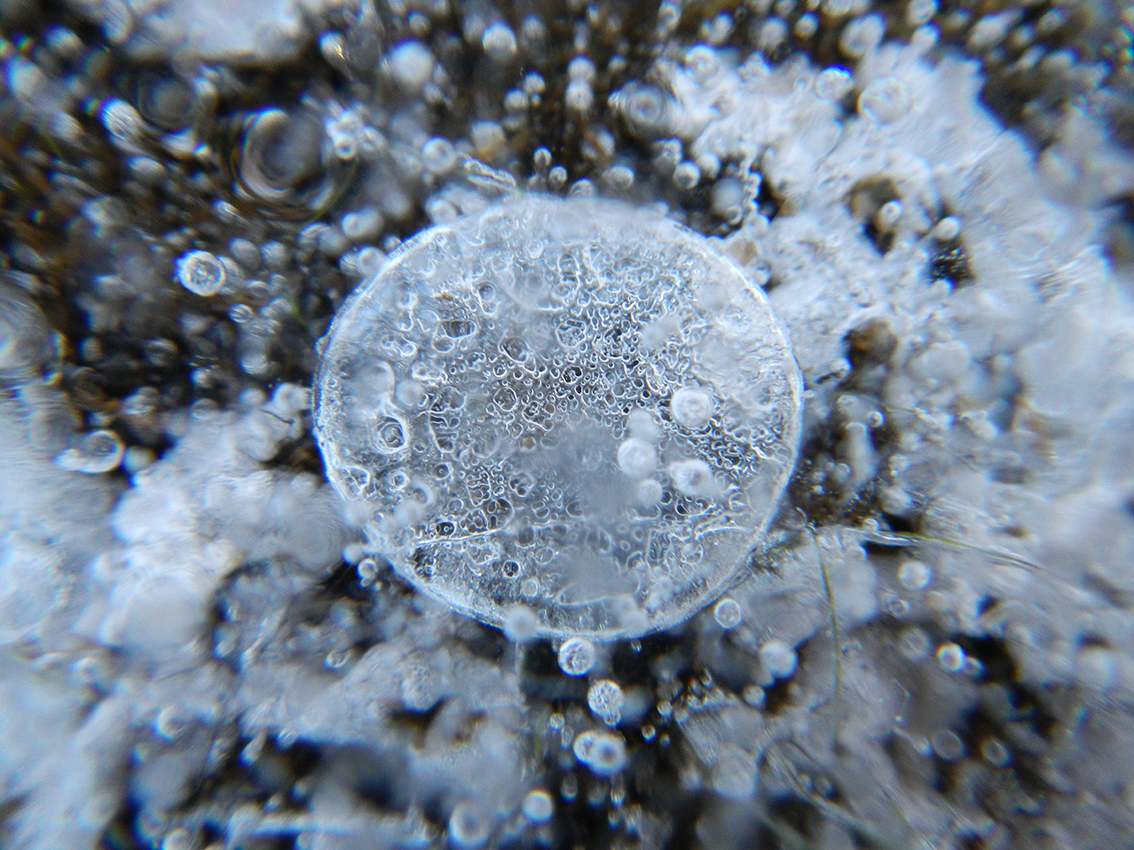 Burbuja de hielo (Embalse de Santillana. Manzanares El Real, Madrid)