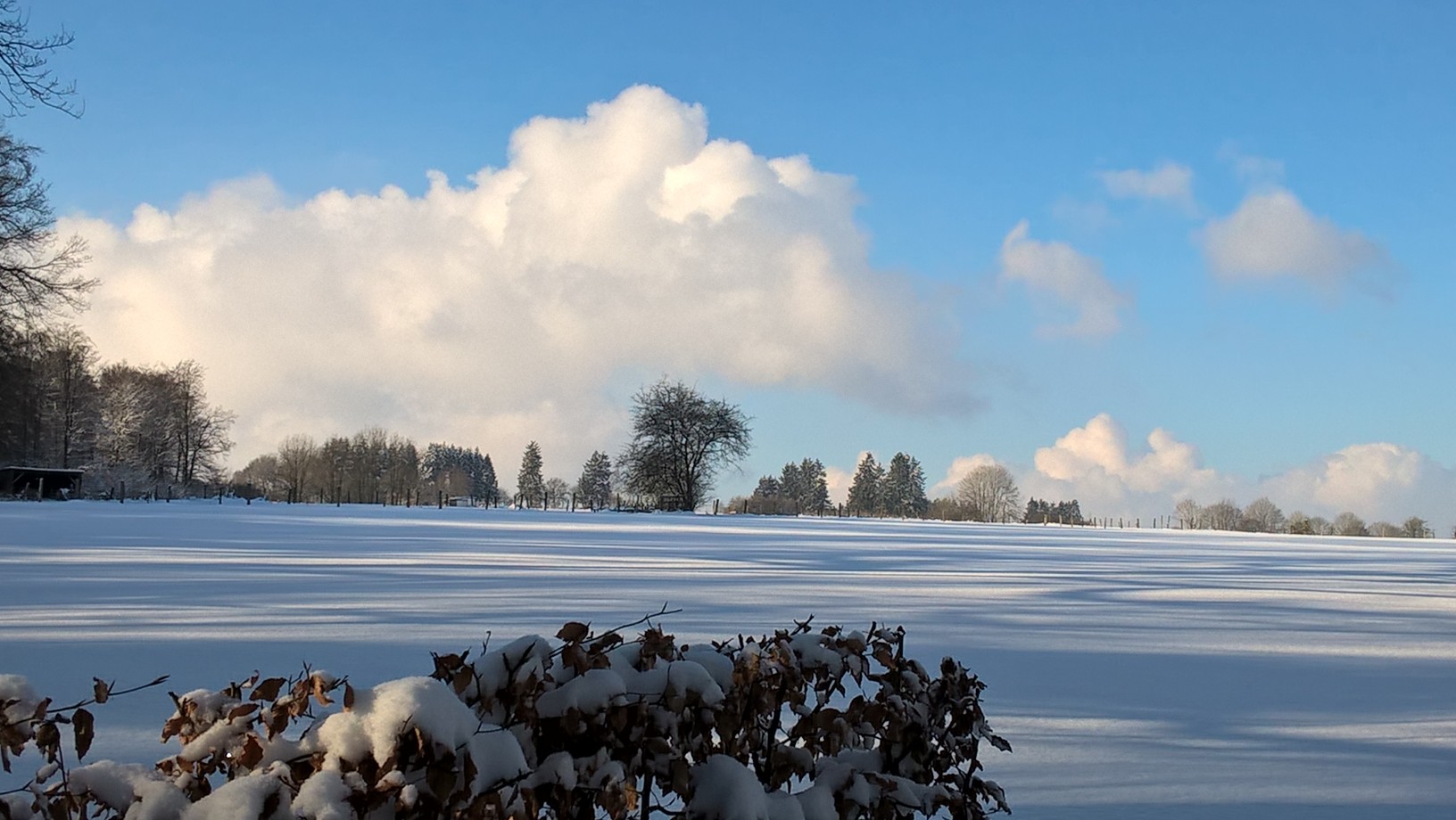 Winterlicher Ausblick von der Terrasse 