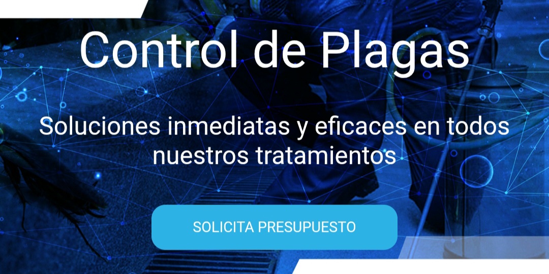 Control de plagas en Murcia