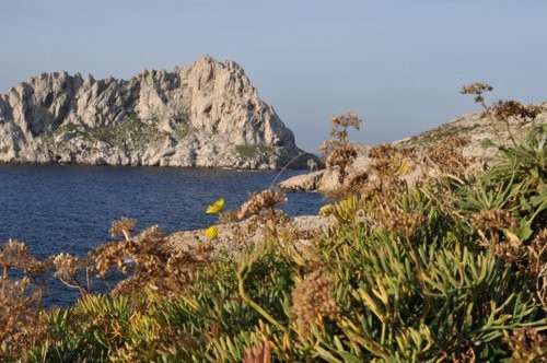 L'Ile de Riou - Marseille Vista 2