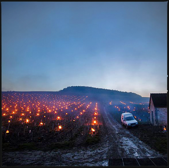 Photo extraite de son contexte bourguignon pour illustrer l'état d'esprit du gel 